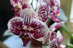 20221012121023 IMG 4090