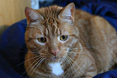 20221012121123 IMG 4093