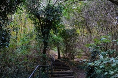 20221015144020 IMG 4158