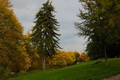 20221015144841 IMG 4164