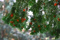 20221015150209 IMG 4175