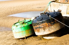 20221024142604 IMG 4225