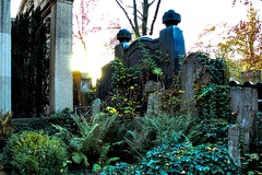 20221030160257 IMG 4375