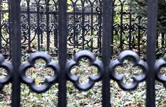 20221030160425 IMG 4377