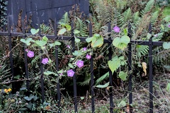 20221030160657 IMG 4381