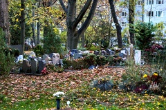 20221030162634 IMG 4401