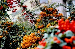 20221031164022 IMG 4457