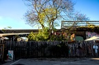 IMG 4617